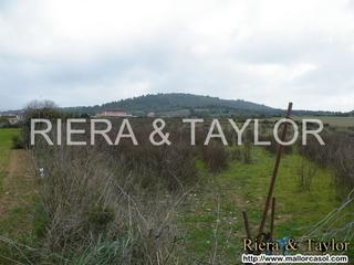 Finca rústica a Manacor Centre. Se vende finca rustica en manacor