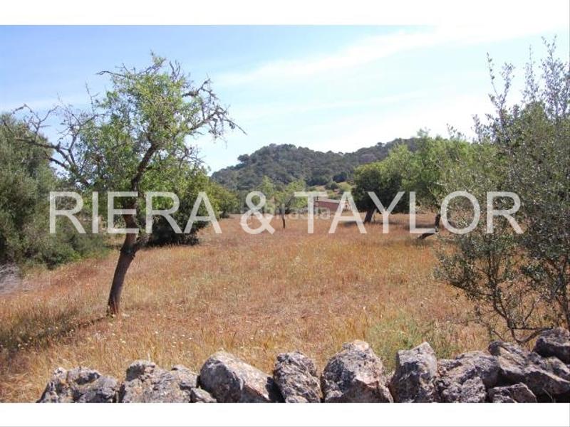 Foto 9ffb6bf2-c762-41ac-8762-878a3aaed634. Rural plot in Felanitx poble Felanitx