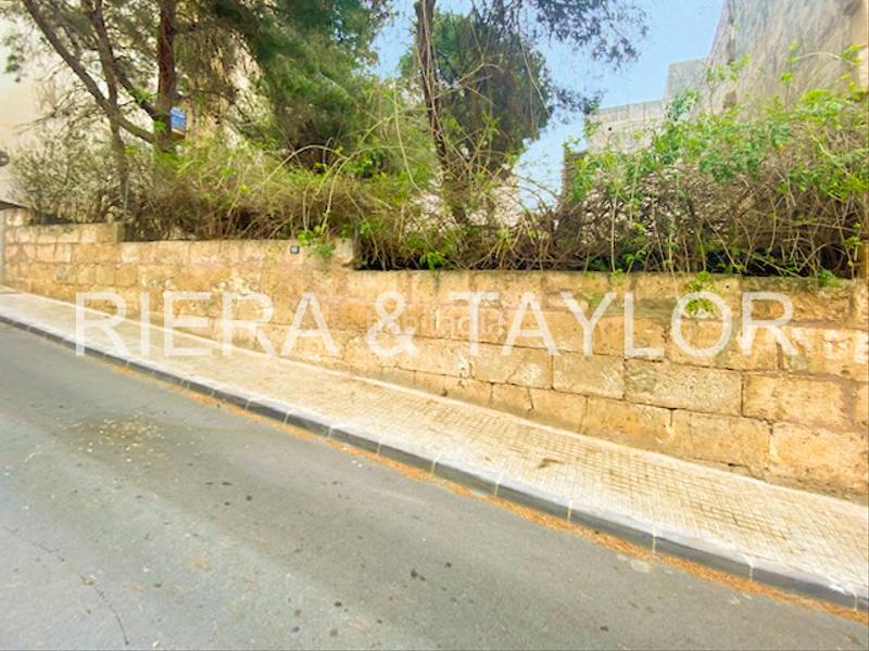 Foto a4f53132-3ef8-47b3-b21e-a13596d96a62. Finca rústica a Porto Cristo Manacor