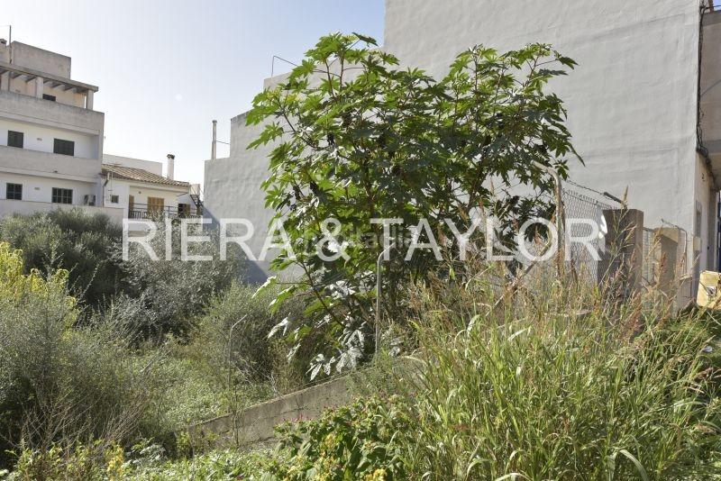 Foto 8b25869c-d823-4f6e-8b0d-f15030c5f7ec. Landgut in Felanitx poble Felanitx