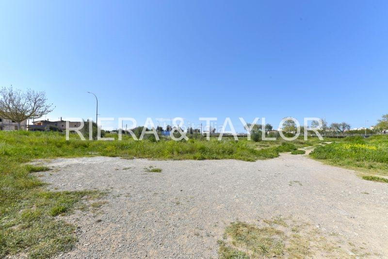 Foto 1327dcbc-2651-4452-9c4c-257dce509ac2. Finca rústica solar urbano en Manacor centre Manacor