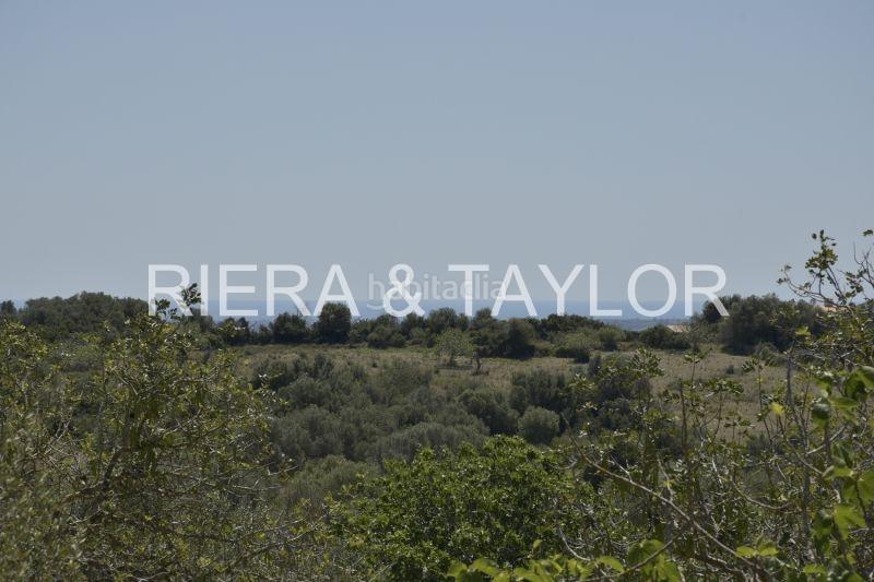 Foto d9763be6-e552-453d-b5cf-5bcf69b3666b. Finca rústica a Manacor centre Manacor