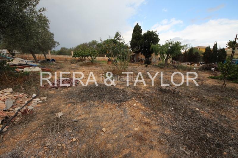 Foto 4e395801-09ba-478c-b455-d44052959bea. Finca rústica a Cales de Mallorca Manacor