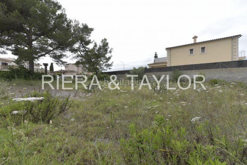Foto 42741352-3334-4648-a914-de20687bd7cf. Rural plot in Sant Llorenç des Cardassar