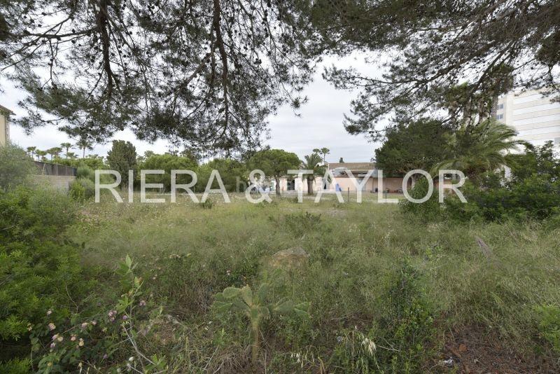 Foto 87364e32-c82f-40f0-a8a2-f3fa50712526. Rural plot in Sant Llorenç des Cardassar