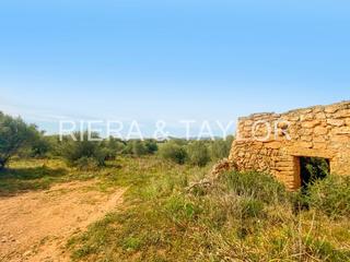 Rural plot in Sant Llorenç des Cardassar. Terreno edificable cerca de la playa