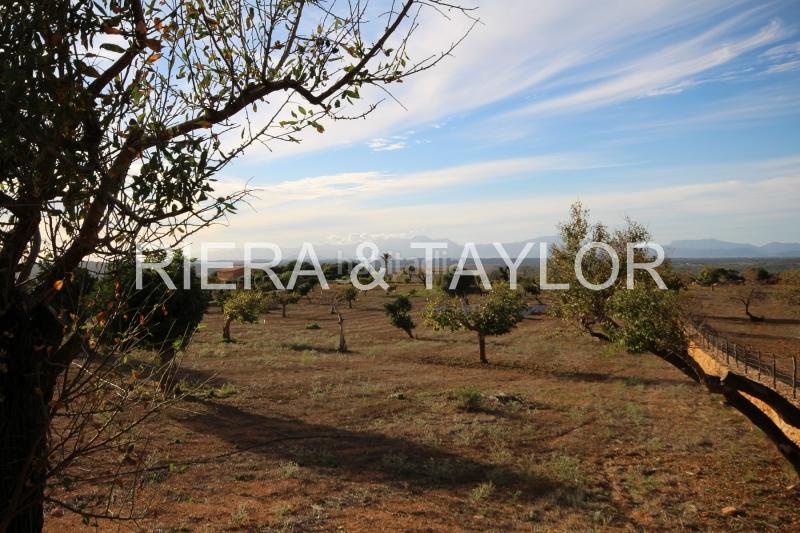 Foto 3b8dff06-0e7f-44cb-9da4-c1c8b35f6db0. Finca rústica terreno edificable en Manacor centre Manacor