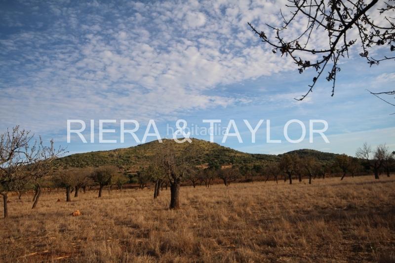 Foto 485e2f37-4669-46c4-9c45-eb0a8b3a7cb7. Finca rústica terreno edificable en Manacor centre Manacor