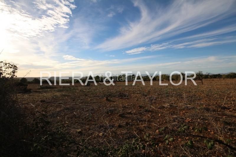 Foto 6404c6bf-f943-465c-ae9d-517708e05dc2. Finca rústica terreno edificable en Manacor centre Manacor