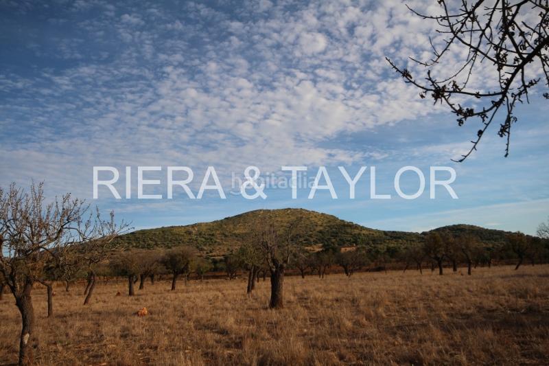 Foto c7ea3a7c-fb4a-4490-b0c2-2532391bf9bd. Finca rústica terreno edificable en Manacor centre Manacor