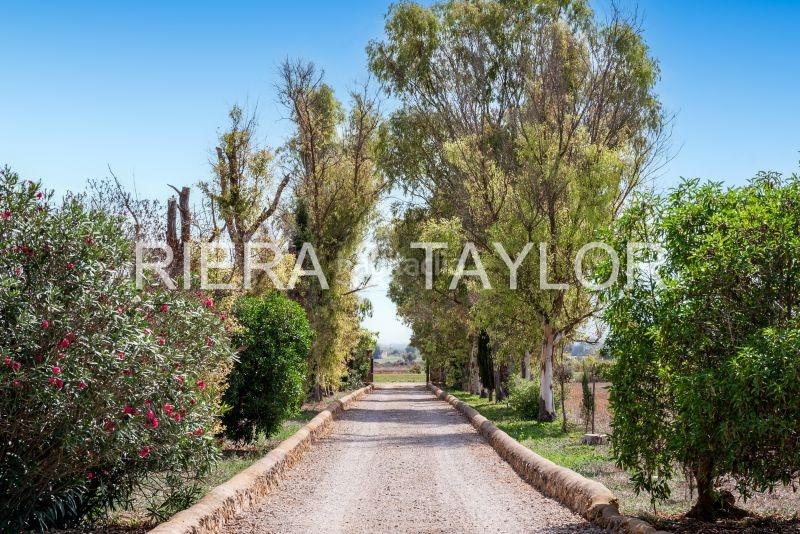 Foto eca4b23c-a15e-42db-b0e8-6445bb4bd7d3. Bauernhof in Felanitx poble Felanitx