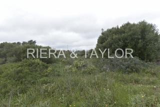 Rural plot in Cales de Mallorca. Solar urbano edificable en calas de mallorca