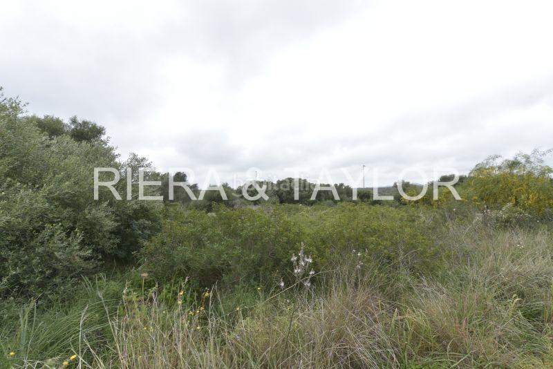 Foto e331b97b-9ef6-4927-b293-756f2d686a7e. Finca rústica a Cales de Mallorca Manacor