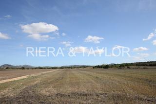 Finca rústica a Manacor Centre. Terreno con buenas vistas y muy tranquilo en manacor