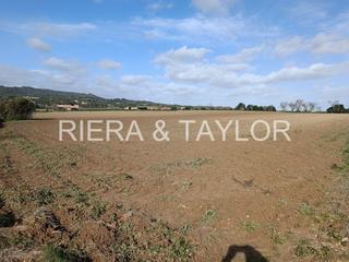 Rural plot in Vilafranca de Bonany