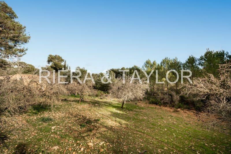 Foto aa66fb0c-e892-4553-9704-9a6cd25708d3. Bauernhof in Manacor centre Manacor