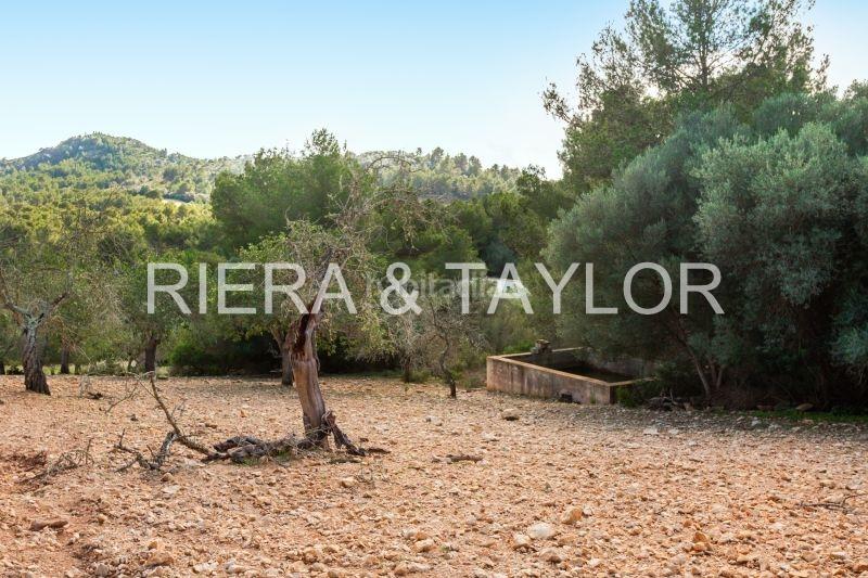 Foto bccfb48c-7158-49c3-bb77-8c5149a808f3. Bauernhof in Manacor centre Manacor