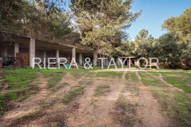 Foto c578f8ce-35ae-4ebf-a539-a173af7909bc. Bauernhof in Manacor centre Manacor