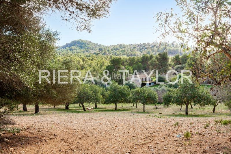 Foto e7b2efaf-ab91-4389-a09e-e242e178822d. Bauernhof in Manacor centre Manacor