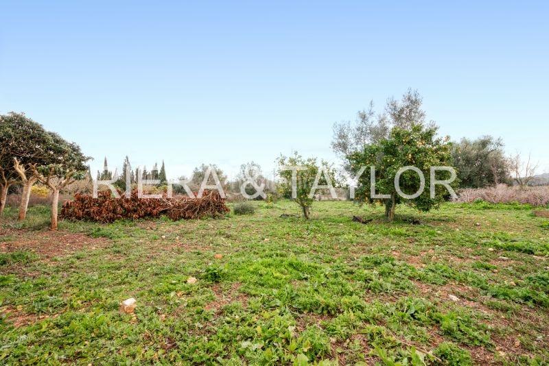 Foto 18a3fe49-4f7a-4bfc-9bae-b7158a820218. Mas dans Manacor centre Manacor