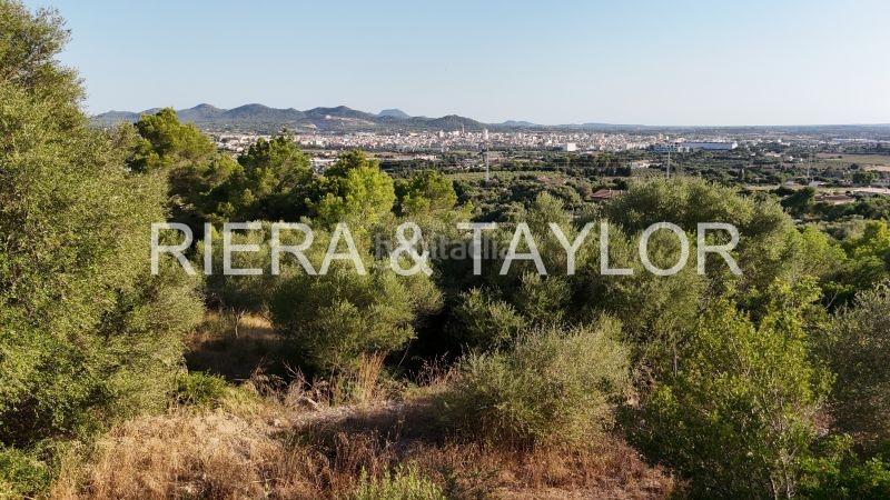 Foto 217bd926-9b3d-4d3b-8e8b-254fcc901cbd. Finca rústica solar en son talent en Manacor centre Manacor