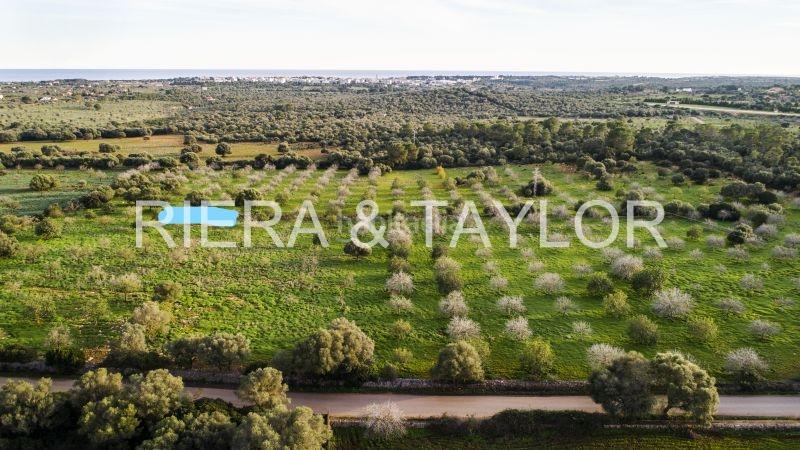 Foto f843a481-8786-4286-a057-e95bc174f10d. Mas dans Porto Cristo Manacor