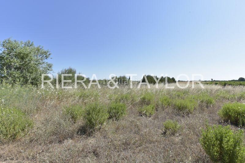 Foto 4acb0a6a-a5a1-4eeb-82b3-e46b7cae2aae. Landgut in Felanitx poble Felanitx