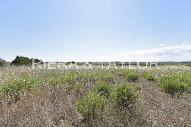 Foto 558e520c-33f7-458b-9960-6cd3d2c49661. Landgut in Felanitx poble Felanitx