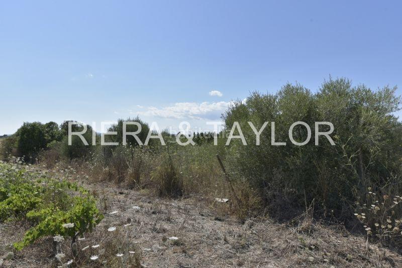 Foto d5cb7d90-b042-4e90-a11b-e66f9541d9a5. Landgut in Felanitx poble Felanitx