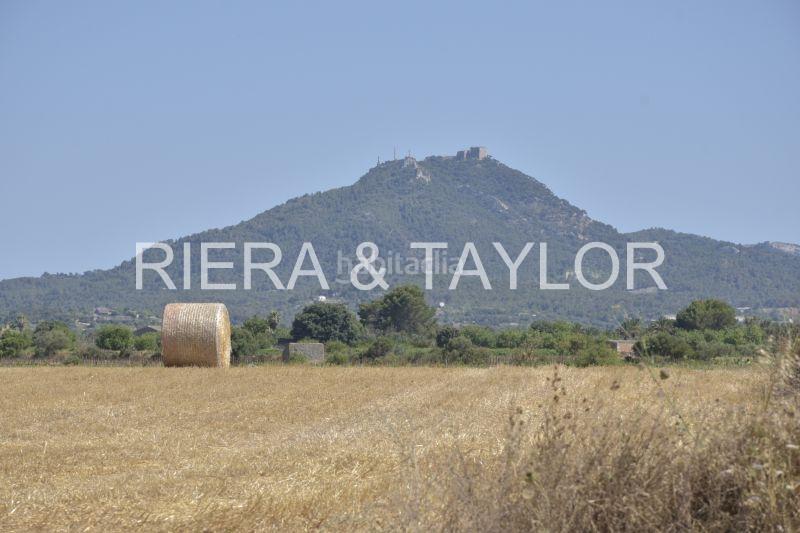 Foto e5caf52a-d1cb-423d-90fc-e05393a073ce. Landgut in Felanitx poble Felanitx