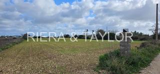 Finca rústica a Manacor Centre. Terreno rãstico en manacor