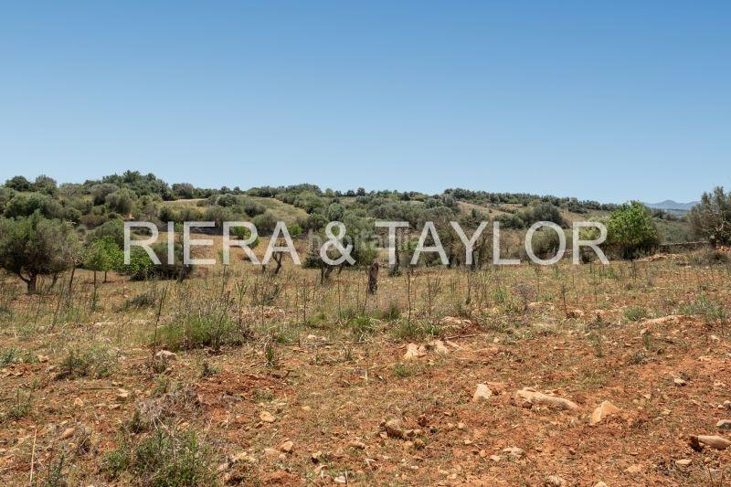 Foto ce8edab2-a91f-4044-b6ac-5574b9233248. Casale in Manacor centre Manacor