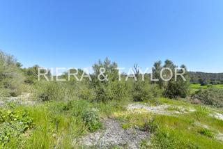 Rural plot in Sant Joan. Terreno en sant joan