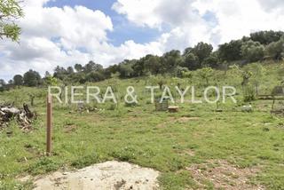 Rural plot in Ariany. Terreno rustico en ariany