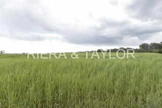 Rural plot in Sineu. Terreno en sineu