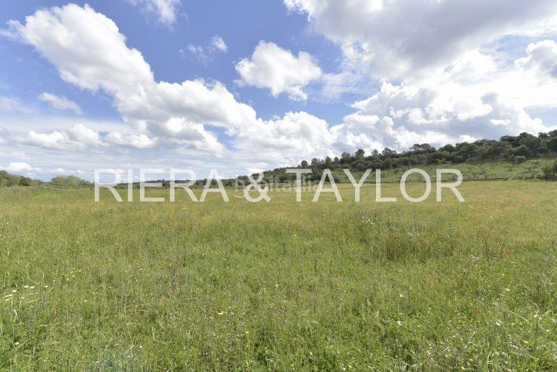 Foto c257a5a5-24d7-4880-b646-b1896b39bb84. Finca rústica terreno rustico en Ariany