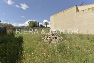 Rural plot in Ariany. Solar urbano en ariany
