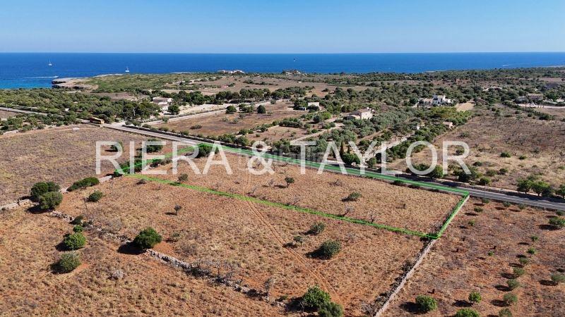 Foto 20721f5e-2efd-40f2-9ac4-5efe41e40bb3. Mas dans Porto Cristo Manacor