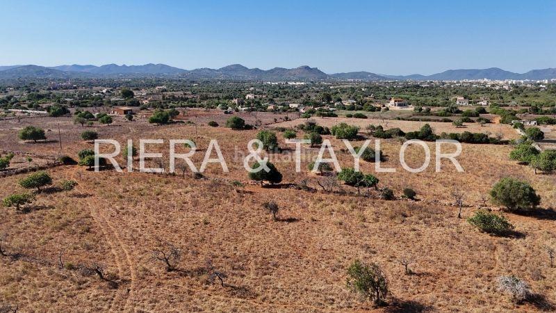 Foto 2e523f6f-118b-4230-9888-db45b15365a1. Mas dans Porto Cristo Manacor