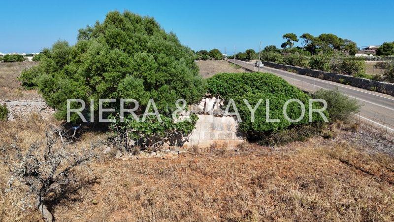 Foto 4f922c73-be02-4f4a-b2bb-e854f9f8aa34. Mas dans Porto Cristo Manacor