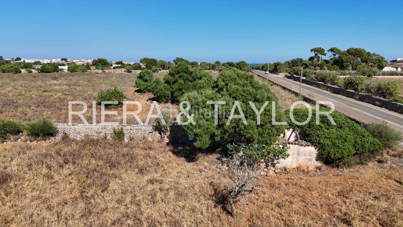 Foto 557a1b9c-282c-4c7e-95ef-e1967eb9a306. Mas dans Porto Cristo Manacor