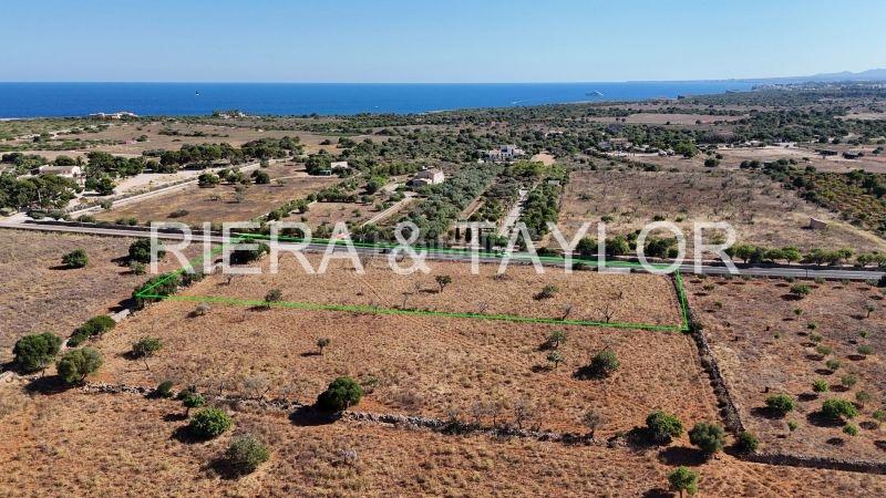 Foto 5c906474-a652-451c-9c88-3a40da45c98c. Mas dans Porto Cristo Manacor