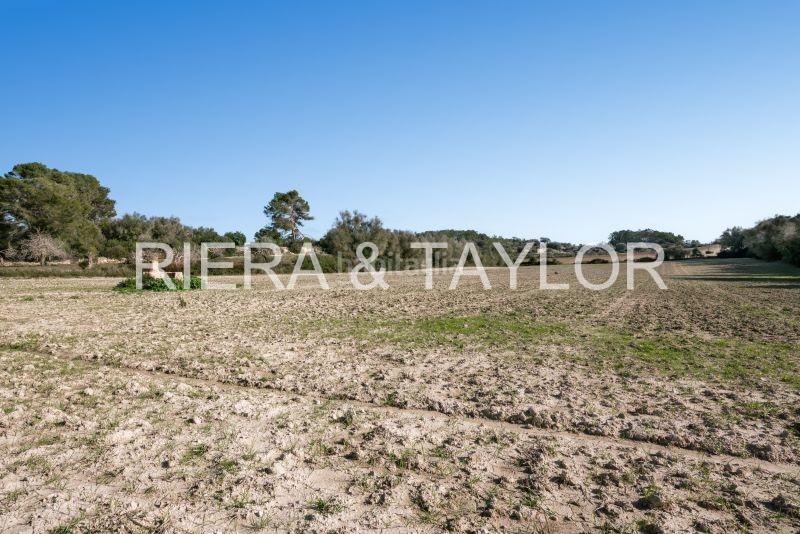 Foto 148a39d5-de2e-4f6a-851f-dfbe4145462e. Rural plot in Lloret de Vista Alegre