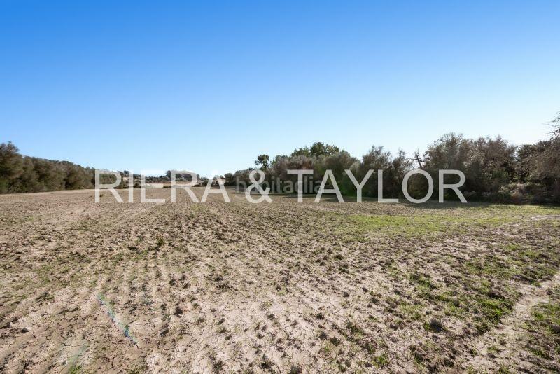 Foto 45382a3b-f755-49dc-b62c-eb69ed51011a. Rural plot in Lloret de Vista Alegre