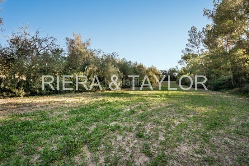 Foto 963e53ce-5759-4cb5-801e-9c9d70b38225. Rural plot in Lloret de Vista Alegre