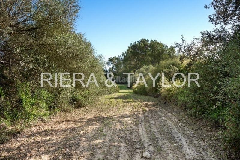 Foto cf55484e-ef7b-435d-8492-1567bdb86c14. Rural plot in Lloret de Vista Alegre