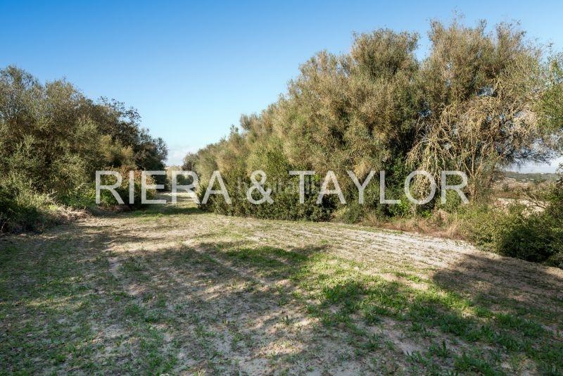 Foto d68da606-fc7b-4d4f-b77d-89bc80955d1c. Rural plot in Lloret de Vista Alegre
