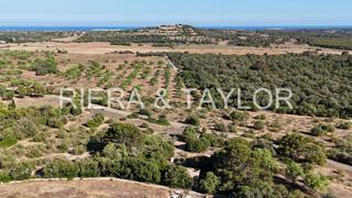 Rural plot in Sant Llorenç des Cardassar. Terreno edificable en san llorenã des cardassar