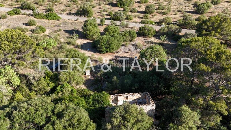 Foto d6191847-4fb5-4848-bb3d-bf30606d9873. Rural plot in Sant Llorenç des Cardassar