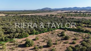 Rural plot in Sant Llorenç des Cardassar. Terreno con licencia para construir en sant llorenã